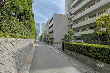 敷地の北側前面道路（西側から）