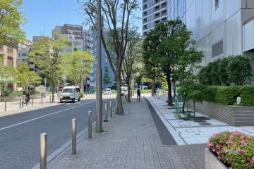 敷地の北側前面道路（西側から）