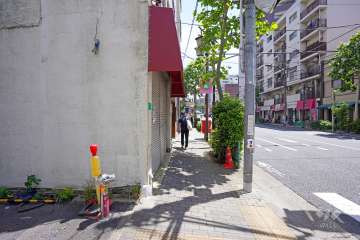 敷地西側の前面道路（北側から）