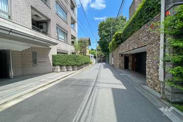 敷地南側の前面道路（西側から）