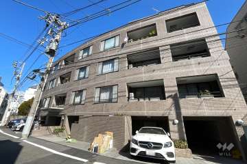 ザパームス南青山の外観（南側から）