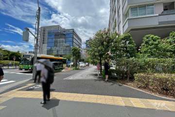 敷地南側の前面道路（東側から）