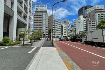 敷地南側の前面道路（西側から）