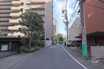 敷地南側の前面道路