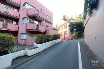 敷地南側の前面道路（西側から）