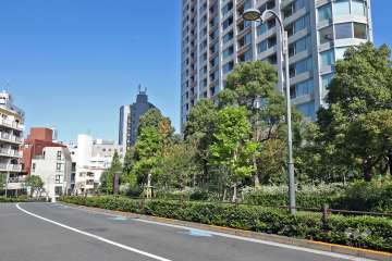 敷地の南西側前面道路（南東側から）