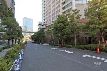 敷地の北側道路（西側から）