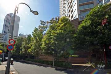 敷地の東側道路（北側から）