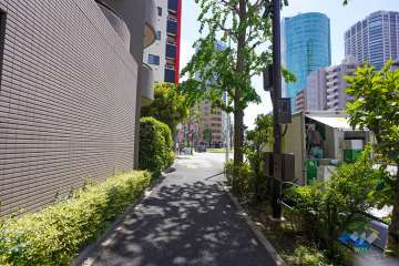 敷地西側の前面道路