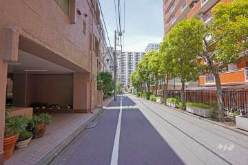 敷地北東側の前面道路（北西側から）