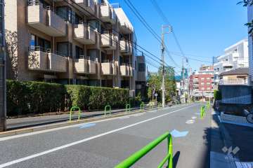 敷地の西側前面道路（南側から）