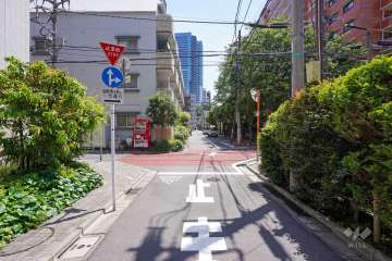 敷地北側の前面道路（西側から）