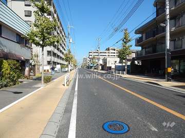 敷地西側の前面道路は二車線の通りで、街路樹が綺麗です。（南側から）
