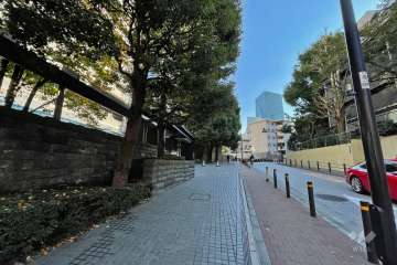 敷地西側の前面道路（北側から）