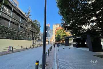 敷地西側の前面道路（南側から）