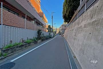 敷地の南側道路（西側から）