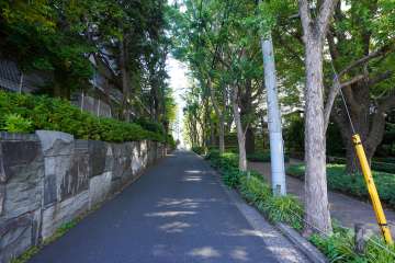 敷地西側の前面道路（南側から）