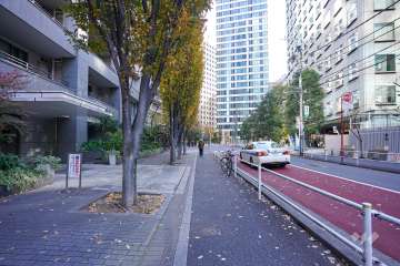 敷地東側の前面道路
