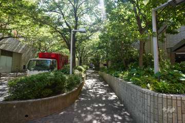 敷地南側の前面道路（西側から）