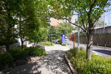 敷地南側の前面道路