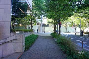 敷地東側の前面道路　