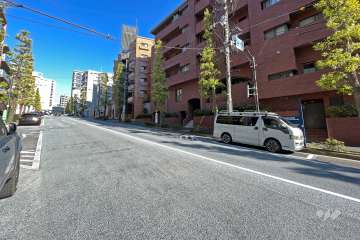 敷地の北西側前面道路（南西側から）