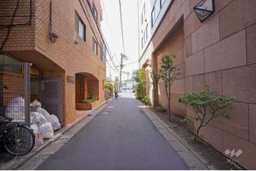 敷地西側の前面道路（北側から）