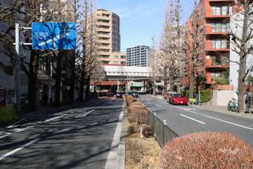敷地南西側の前面道路(南東側から)