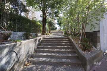 敷地南側の前面道路　