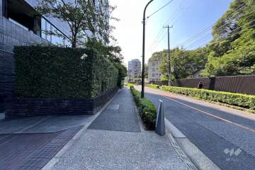 敷地の南西側前面道路（北西側から）