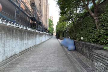 敷地の北西側前面道路（南西側から）