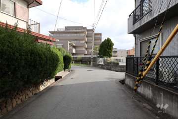 敷地北側の前面道路（西側から）