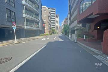敷地北側の前面道路（西側から）