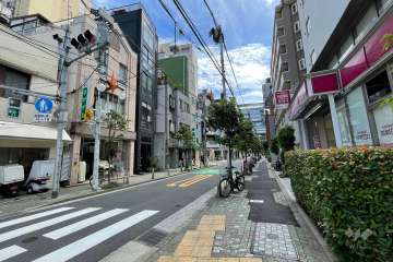 敷地東側の前面道路（北側から）