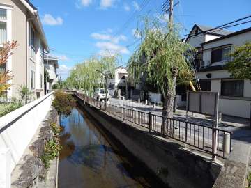 敷地東側の前面道路。道沿いに水路が流れる武庫之荘を代表する景色。