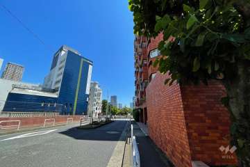 敷地北西側の前面道路（南西側から）