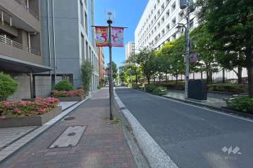 敷地東側の前面道路　