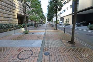 敷地北側の前面道路（東側から）