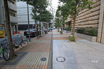 敷地北側の前面道路（西側から）