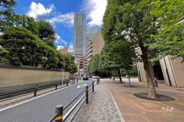 敷地の西側前面道路（南側から）