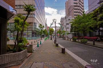 敷地東側の前面道路（南側から）