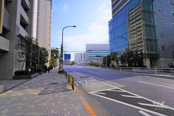 敷地西側の前面道路北側から）