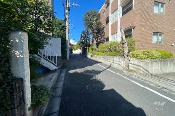 敷地南側の前面道路