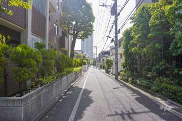 敷地南側の前面道路