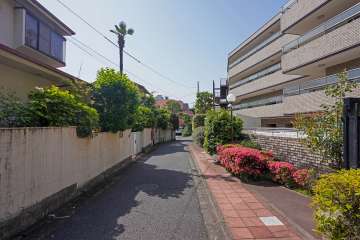 敷地東側の前面道路（北側から）