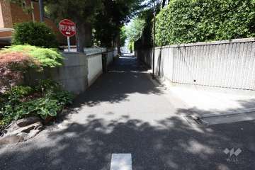 敷地北側の前面道路（西側から）