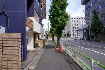 敷地南側の前面道路（西側から）