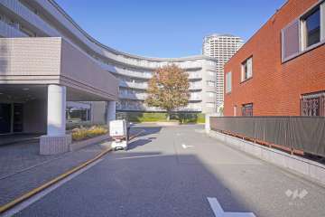 敷地東側の前面道路（南側から）