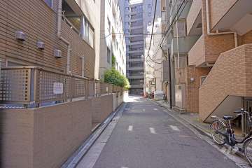 敷地南側の前面道路（北側から）