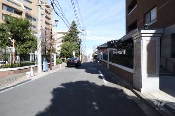 敷地東側の前面道路(南側から)
